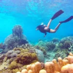 0707-0246_rangko-cave-sabolo-island-snorkelling-tour-indonesia-pelago1-xlarge