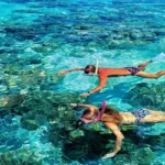 snorkeling.jpeg